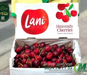 Dâu Tây Hàn Quốc Premium | K-Berry Hộp 500g